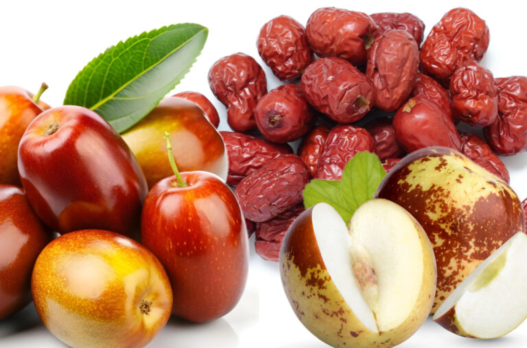 Giuggiole | Sapore, Proprietà, Calorie e Benefici per la Salute