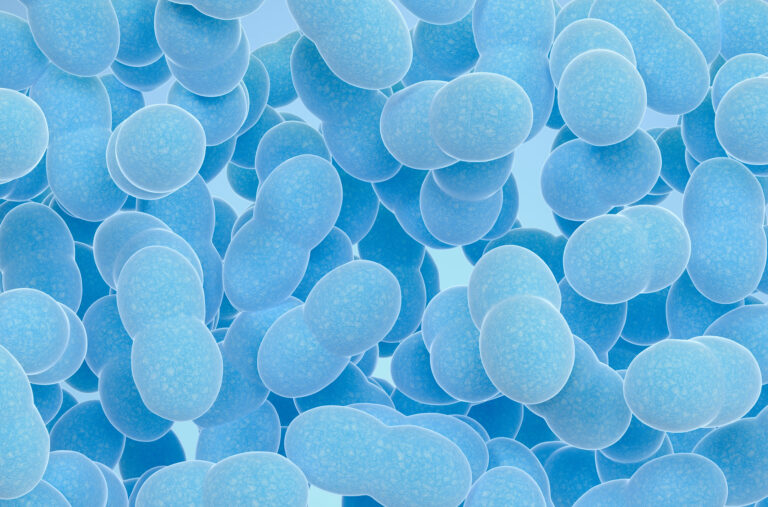 Saccharomyces Boulardii | Proprietà, Dosi, Benefici per la Salute