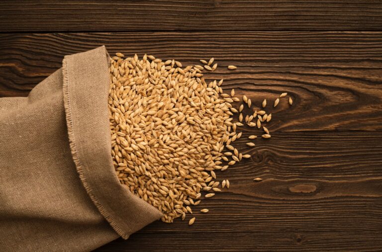 Orzo | Proprietà, Benefici per la Salute | Come Usarlo in Cucina