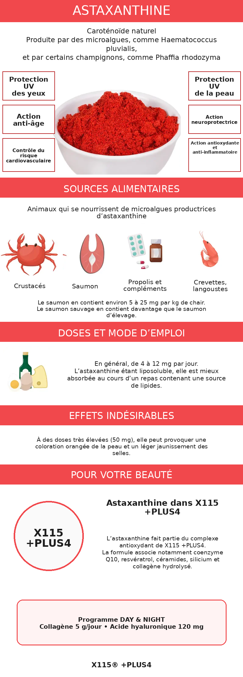 Infographie sur l'astaxanthine
