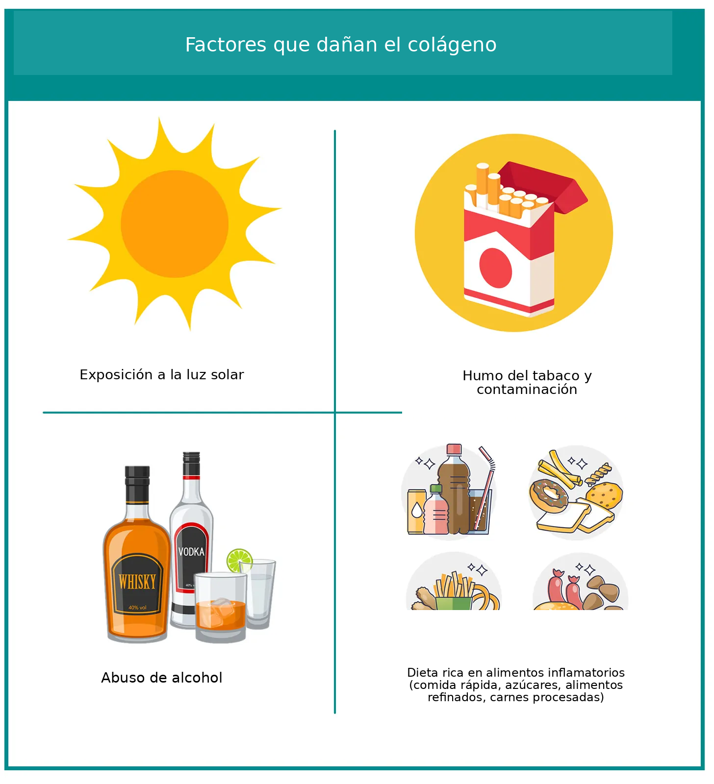 Causas de la degradación del colágeno