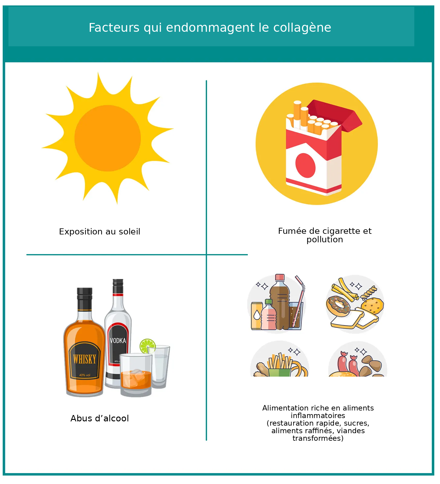 Causes de la dégradation du collagène
