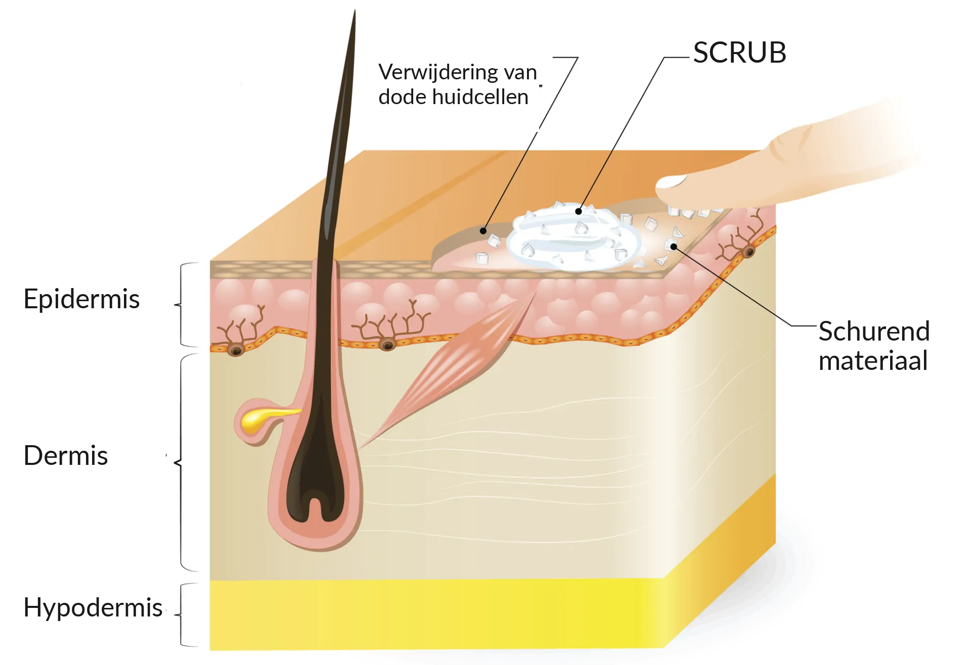 Fysische exfoliatie met een scrub