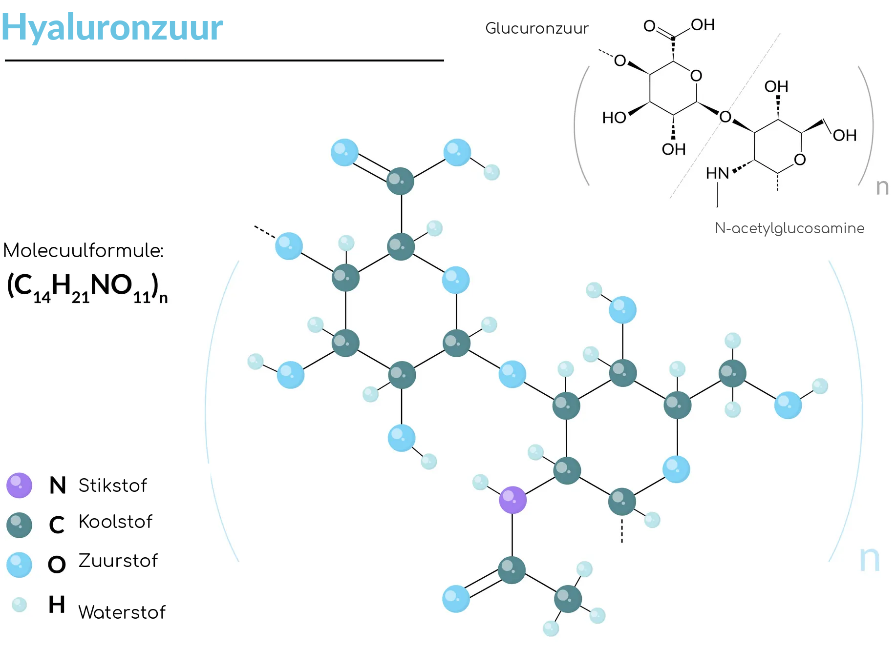 Structuur van hyaluronzuur