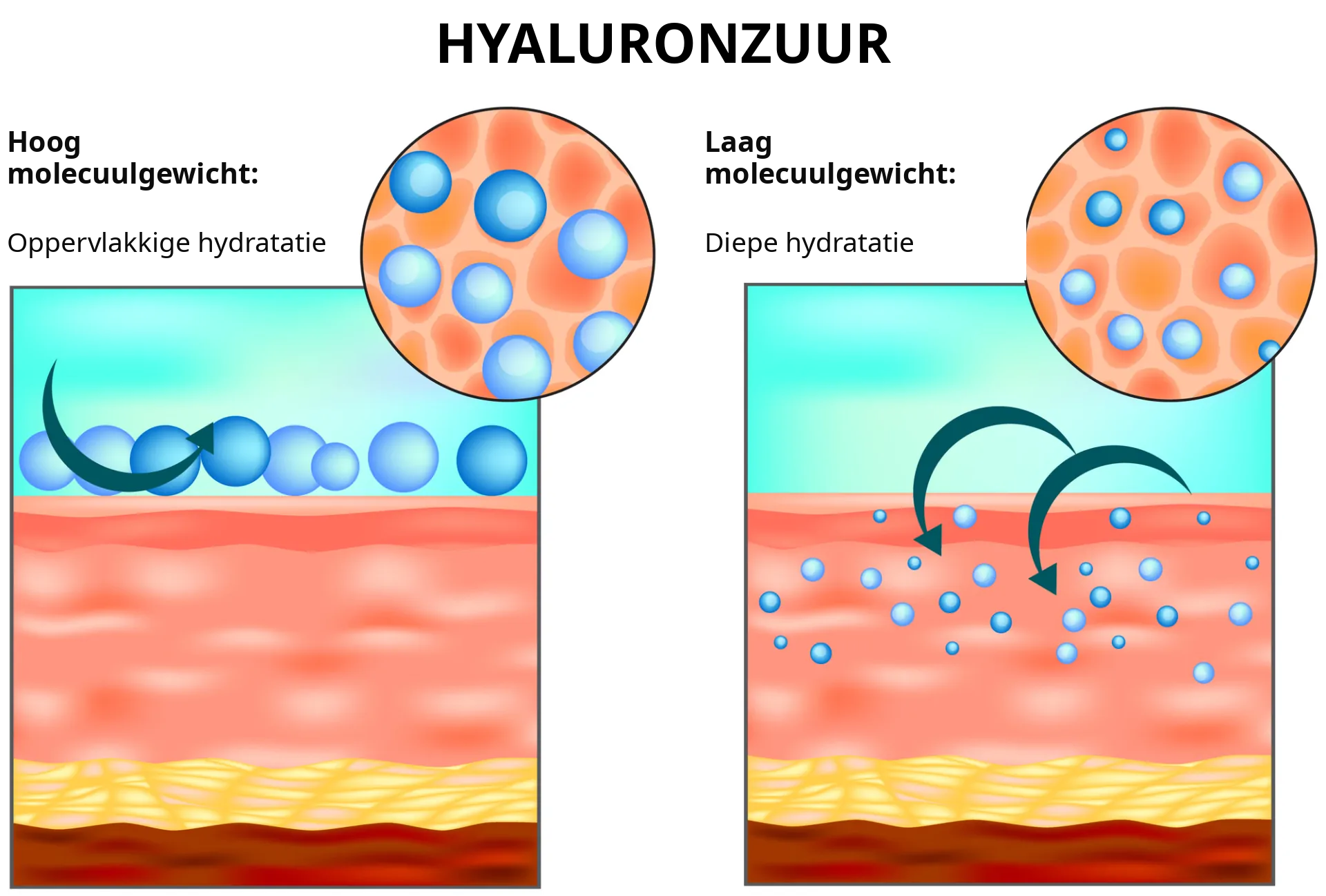 Hydratatie met hyaluronzuur