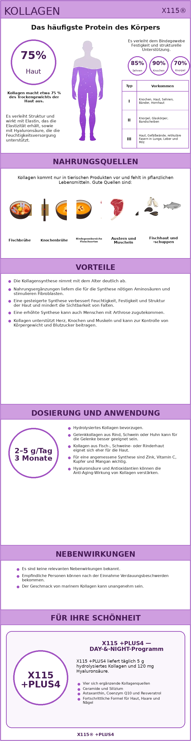 Kollagen: Vorteile und Eigenschaften als Infografik