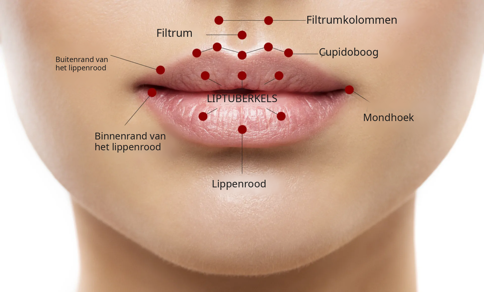 Lippen