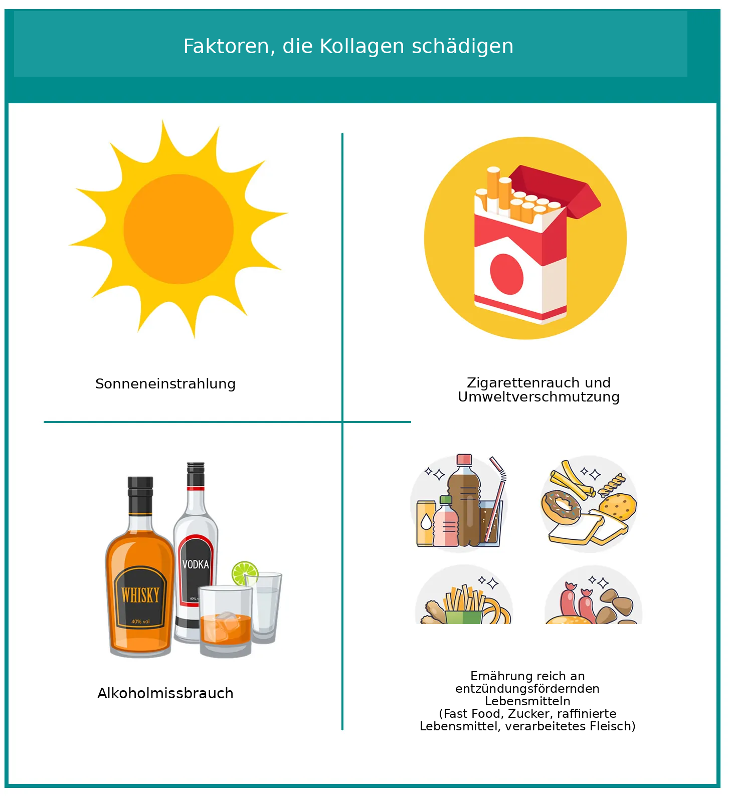 Ursachen des Kollagenabbaus